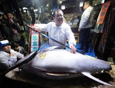 Αυτό είναι το ψάρι του 1,5 εκατ. ευρώ! (βίντεο)